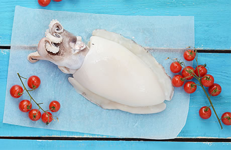 Cuttlefish nutritional information