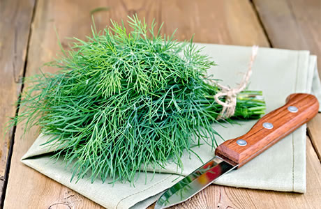 Dill - weed nutritional information