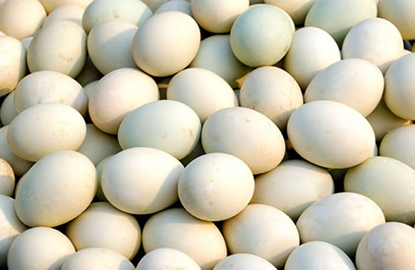 Duck eggs nutritional information