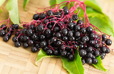 Elderberries nutritional information
