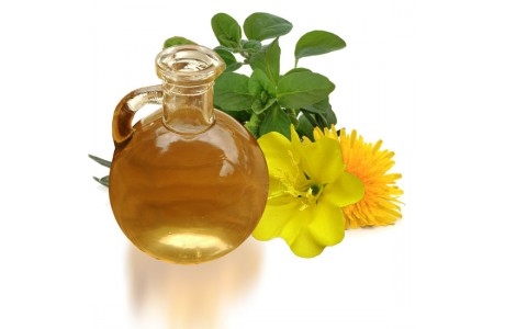 Evening primrose oil nutritional information