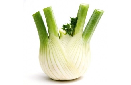 Fennel bulb nutritional information