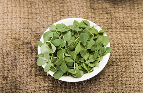 Fenugreek leaves nutritional information