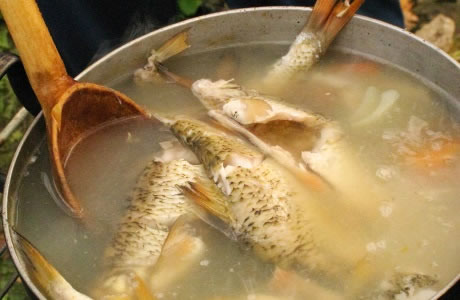 Fish stock nutritional information