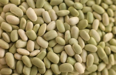 Flageolet beans - tinned nutritional information