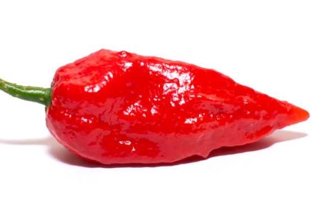 Ghost chilli - Bhut Jolokia nutritional information