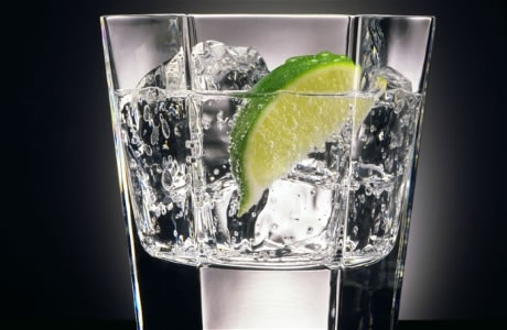 Gin nutritional information