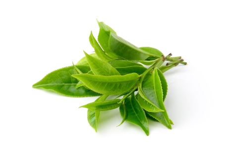 Green tea - large leaf - Quingmao nutritional information