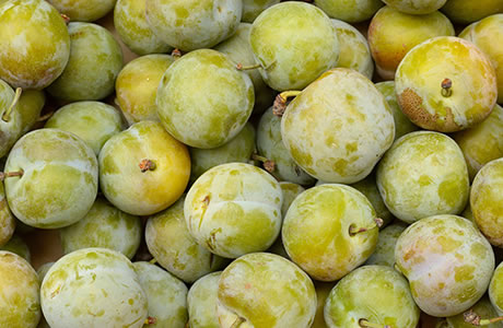 Greengages nutritional information