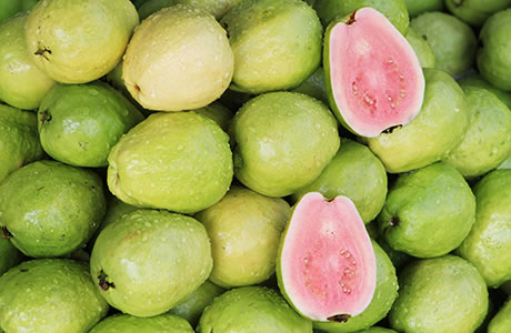 Guava nutritional information