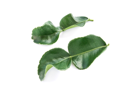 Kaffir lime leaves nutritional information