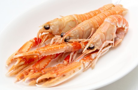 Langoustine - meat only - cooked nutritional information