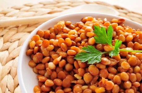 Lentils cooked - green and brown nutritional information