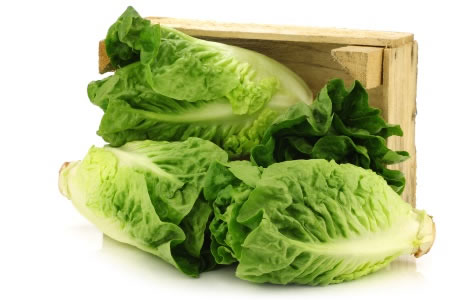 Little gem lettuce nutritional information