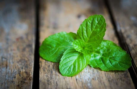 Mint - fresh nutritional information