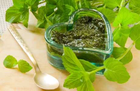 Mint sauce nutritional information