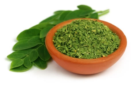Moringa - Drumstick leaves nutritional information