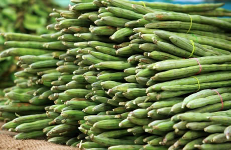 Moringa - Drumstick  pods nutritional information