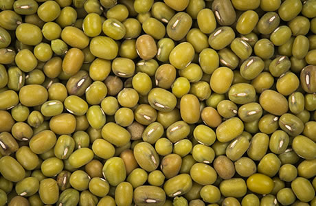 Mung beans - dried nutritional information
