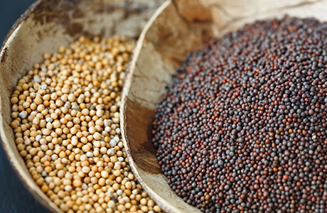 Mustard seeds nutritional information