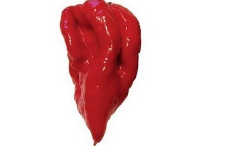 Naga Viper chilli nutritional information