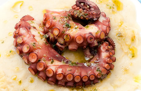 Octopus nutritional information