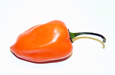 Orange habanero chilli nutritional information