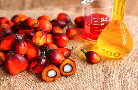 Palm oil nutritional information