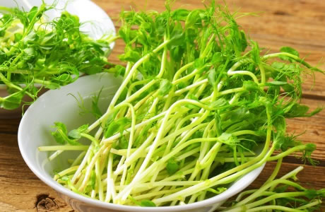 Pea shoots nutritional information