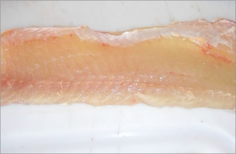 Pike fillet nutritional information