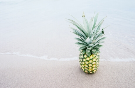 Pineapple: calories and nutritional composition