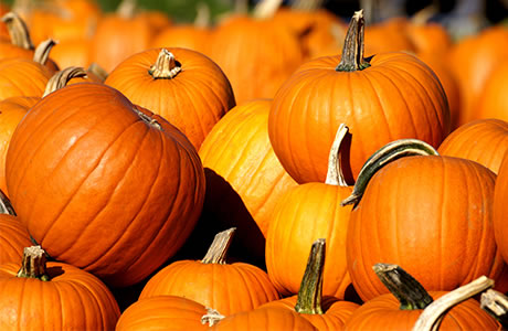 Pumpkin nutritional information