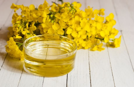 Rapeseed oil - canola nutritional information