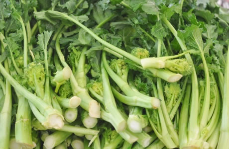 Rapini - broccoli raab nutritional information
