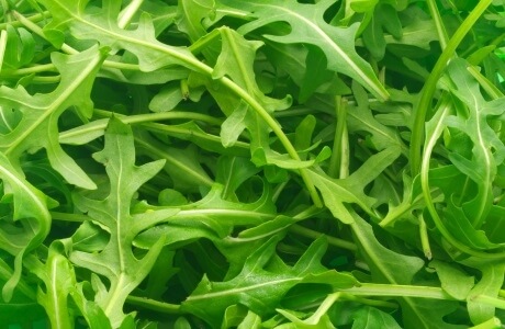 Rocket - arugula nutritional information