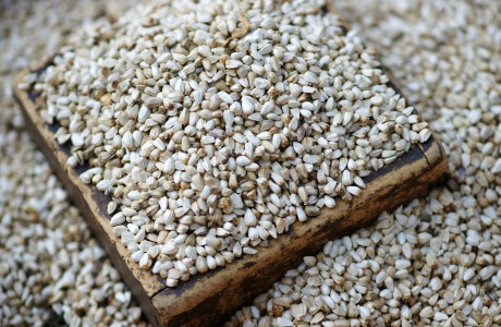 Safflower seeds - dried nutritional information