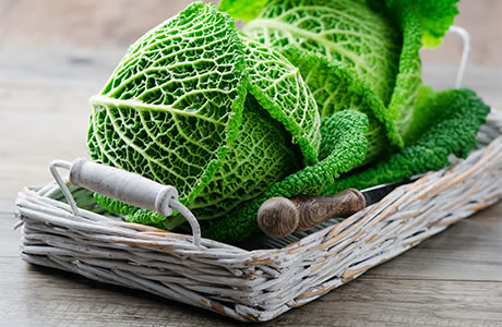 Savoy cabbage nutritional information