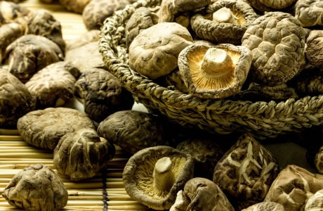 Shitake mushrooms - dried - shiitake nutritional information