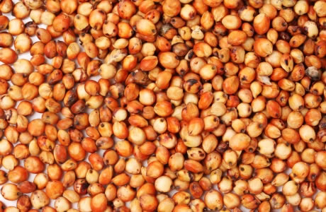 Sorghum grain nutritional information
