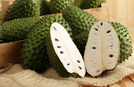 Soursop nutritional information