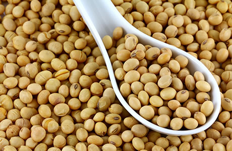 Soya beans - dried nutritional information