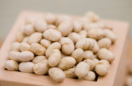 Soya beans roasted - soybeans nutritional information
