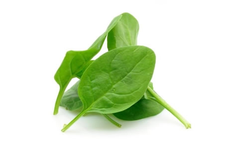 Spinach baby nutritional information