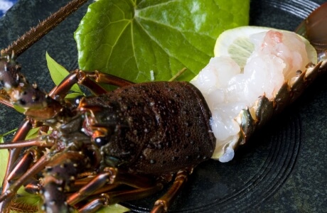 Spiny lobster nutritional information