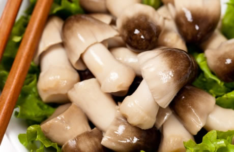 Straw mushrooms - tinned Nutrition Facts