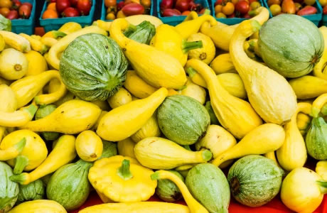 Summer squash nutritional information