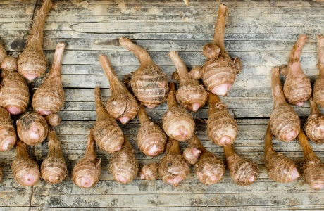Taro nutritional information