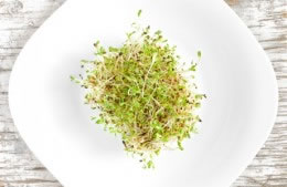 50g alfalfa sprouts nutritional information