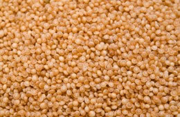 Amaranth grain nutritional information