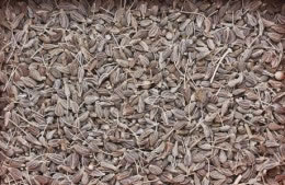 Anise seed nutritional information